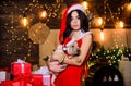 Little cutie. Sexy woman in santa hat hug puppy. Sensual girl in erotic lingerie. Puppy dog. Happy new year. Merry Royalty Free Stock Photo