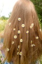 Little daisies in beautiful long hair. Royalty Free Stock Photo