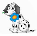 Little dalmatin with flower Royalty Free Stock Photo