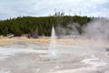 The little dancing acting geyser in Yellowstone Park