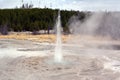 The little dancing acting Vixen geyser in Yellowstone Park