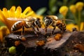 little darlings cuties a bees, honey, a laborer, a hard worker, yellow and black striped animals cheerful joyful happy