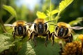 little darlings cuties a bees, honey, a laborer, a hard worker, yellow and black striped animals cheerful joyful happy