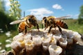 little darlings cuties a bees, honey, a laborer, a hard worker, yellow and black striped animals cheerful joyful happy