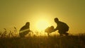 Little daughter with parents jumping at sunset. Silhouettes of mom dad and baby in the rays of dawn. Family concept