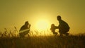 Little daughter with parents jumping at sunset. Silhouettes of mom dad and baby in the rays of dawn. Family concept