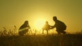Little daughter with parents jumping at sunset. Silhouettes of mom dad and baby in the rays of dawn. Family concept