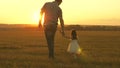 Little daughter walks with her father in a meadow holding hands. child holds father`s hand. family walks in evening out Royalty Free Stock Photo