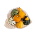 Little decorative bright yellow, orange, green pumpkin in cotton net eco-friendly bag Royalty Free Stock Photo