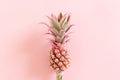 Little decorative pineapple Royalty Free Stock Photo