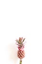 Little decorative pink pineapple Royalty Free Stock Photo