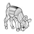 Little Deer Black white hand drawn coloring page Royalty Free Stock Photo