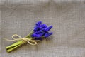 Little delicate bouquet of bright spring flowers tied with twine lies on gray fabric. Bouquet of Grape Hyacinths