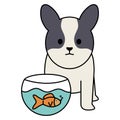 Little dog adorable with fish in aquarium