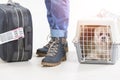 Little dog in the airline cargo pet carrier Royalty Free Stock Photo