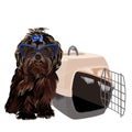 Little dog in the airline cargo pet carrier waiting at the airport.  Isolated on a white background Royalty Free Stock Photo