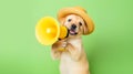 Little dog announcing using megaphone. Notifying, warning, announcement Royalty Free Stock Photo