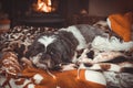 Little Dog Asleep By The Fire