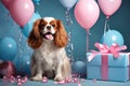 Little Dog Cavalier King Charles Spaniel with Gift Box. Birthday on Blue Pink background