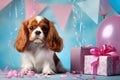 Little Dog Cavalier King Charles Spaniel with Gift Box. Birthday for Girl, Blue Pink background