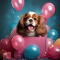 Little Dog Cavalier King Charles Spaniel with Gift Box. Birthday for Girl, Blue Pink background