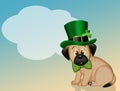 Little dog celebrates St. Patrick`s day