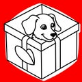 Little dog inside christmas gift box on red background. dog inside gift box. Royalty Free Stock Photo