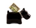 Little dog moneybox Royalty Free Stock Photo