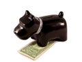 Little dog moneybox Royalty Free Stock Photo