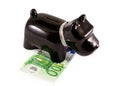 Little dog moneybox Royalty Free Stock Photo