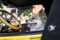 Little dog in an old yellow retro car Royalty Free Stock Photo