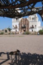 Little Dog resting in the shade at San Xavier del Bac the Spanish Catholic Mission Tucson Arizona Royalty Free Stock Photo