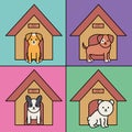 Little dogs adorable with wooden houses