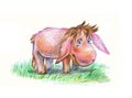 Little donkey