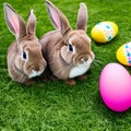 Little Easter bunny and Easter eggs on green grass Royalty Free Stock Photo