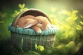 Little easter bunny sleeps in basket in green Grass. Generative AI