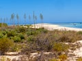 The Densely forested bush hills in Isalo, Madagascare. Royalty Free Stock Photo