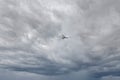 The flight of the little egret or Small White Heron