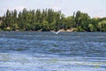 Little egret or white heron Egretta garzetta in flight over river Dnieper Royalty Free Stock Photo