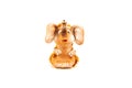 Little elephant with amber pieces Royalty Free Stock Photo