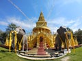 Little Elephant front of Gold Stupa Pagoda