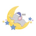 Little elephant sleeping on the moon.