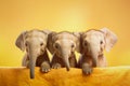 Little elephants side by side on a pastel background, generative ai