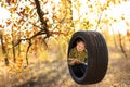 Little fair-haired boy with a smile reads a book in a swing wheel Royalty Free Stock Photo