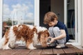 Little fair haired excited boy feeding and watering new dog brown and white Cavalier King Charles spaniel. Care and love Royalty Free Stock Photo