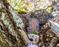 Little fairy tale door made from clay in cherry tree trunk Royalty Free Stock Photo