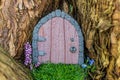 Little fairy tale door made from clay in a tree trunk with purple and blue flowers Royalty Free Stock Photo