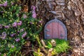 Little fairy tale door made from clay in a tree trunk with purple flowers Royalty Free Stock Photo