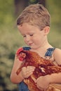 Little farm boy holding red chicken