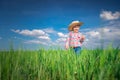 Little farmer boy with straw hat in a green wheat field. Agriculture and farming concept Royalty Free Stock Photo